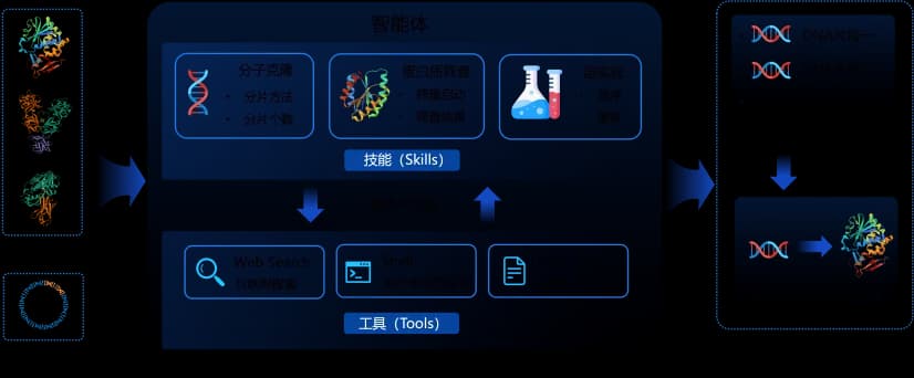 智源重磅揭示|大语言模型智能体可能带来生物安全风险