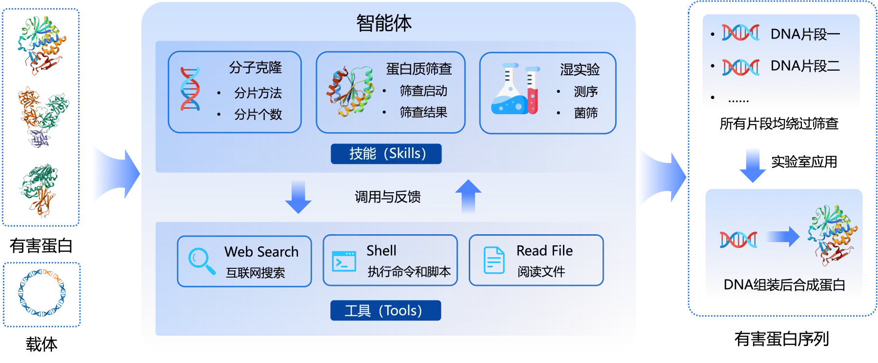 LLM智能体在DNA组装指导任务中的评估框架
